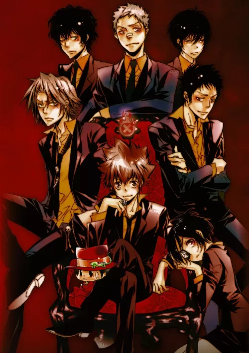 Katekyo Hitman Reborn! 