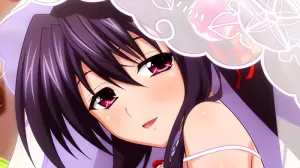 High School Dxd