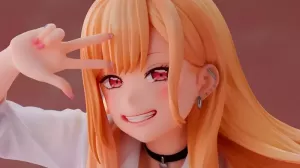 Aniplex Plus