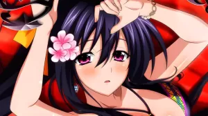 High School Dxd
