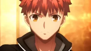 Fate Series