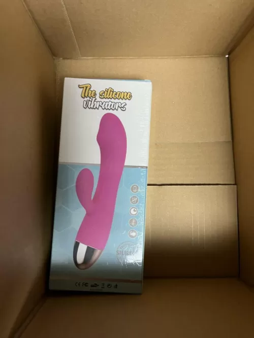 Japón
