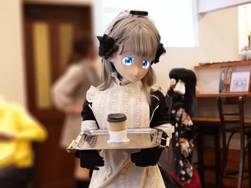 Maid Robot