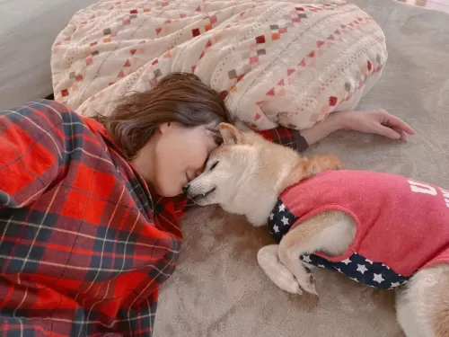 Doge