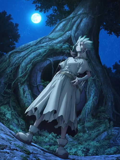Dr. STONE
