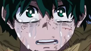 Boku No Hero Academia