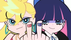 Panty Stocking With Garterbelt
