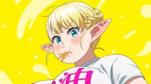 Plus Sized Elf