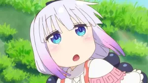Lolis