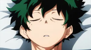 Boku No Hero Academia