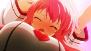 Baka And Test