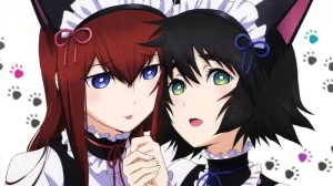 Steins Gate