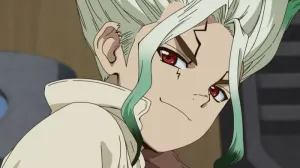 Dr Stone